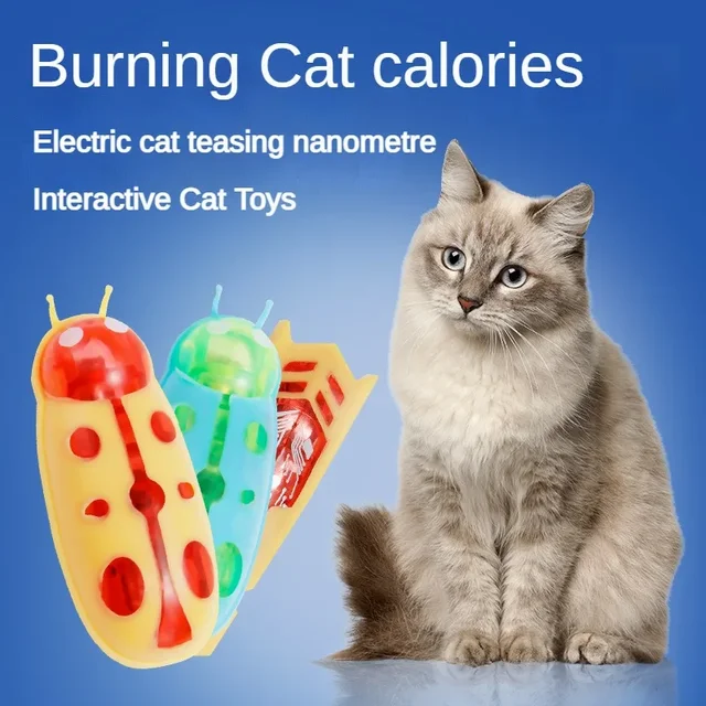 Pet Interactive Mini Electric Bug Cat Toy Kitten Escape Obstacle Automatic Flip Toy Battery Operated Vibration Beetle Supplies 4