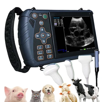 Portable Vet Ultrasound Scanner 1