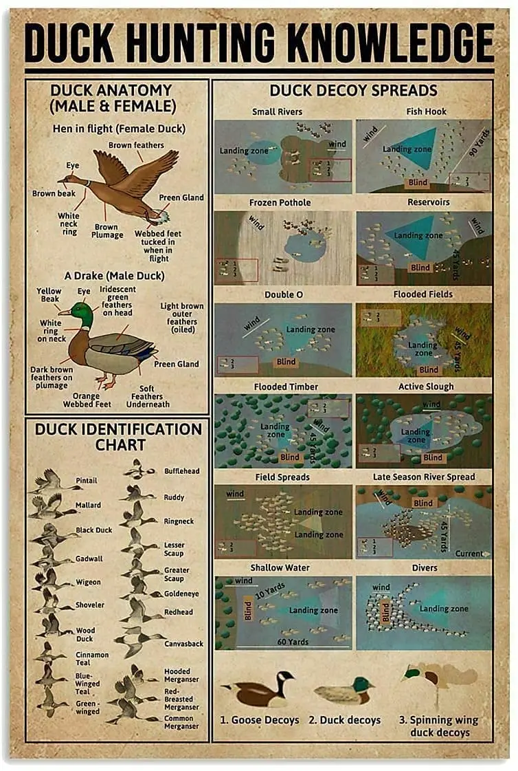Cafumcak Duck Hunting Knowledge Metal Tin Sign New Vintage Decor Per Home Office Restaurant Garage Bar 8X12 Pollici