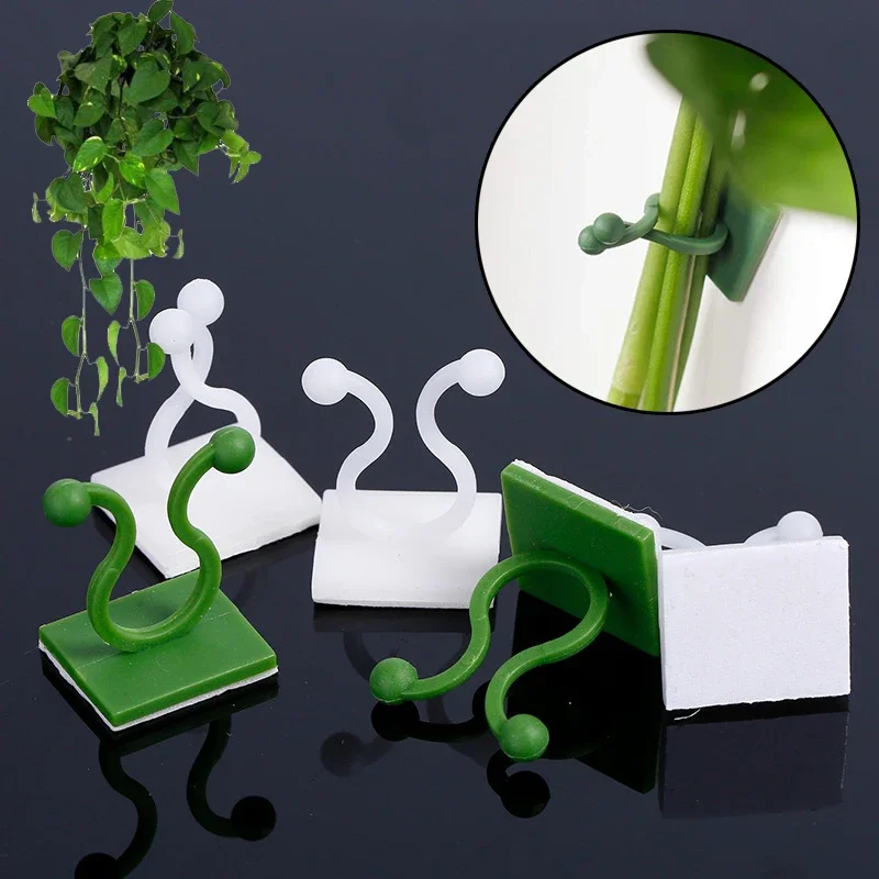 Plant Clips 10-50pcs Self-Adhesive Hook Traction Stent