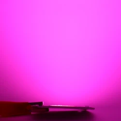 Full Spectrum Hydroponic LED Grow Light Chip for Indoor Plants and Seedlings (Full Spectrum)