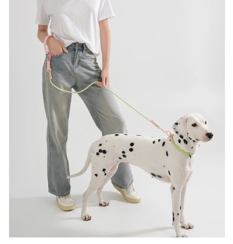 Cute style PVC Webbing Collar Leashes Dog Walking Series - PeticaDeals