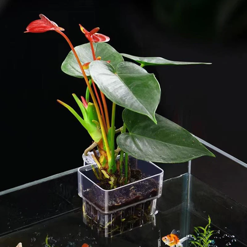 Multifunctional Fish Aquarium Water Grass Planting Cup Breeding Isolation Box Fish Tank Hydroponic Plants Tank Landscaping fish aquarium,fish breeding box,hydroponic planter
