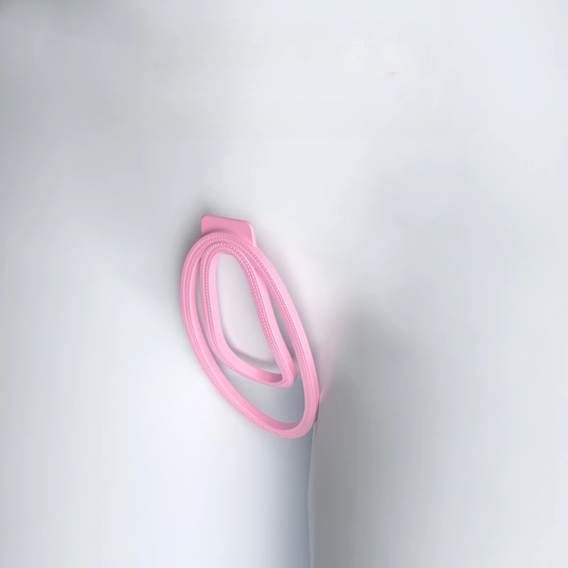 Penis Chastity Cage Chastity Lock Sex Toy FUFU Clip Panty Chastity For Sissy Male Mimic Female Pussy Chastity Device With Anti-slip Belt