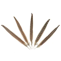 10pcs 25-30cm Natural Pheasant Tail Feathers 3