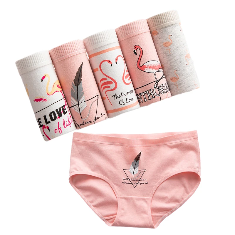 Women's Seamless Bikini Underwear Half Back Coverage Panties but Pads  Underwear, Pink, Small : : Clothing, Shoes & Accessories