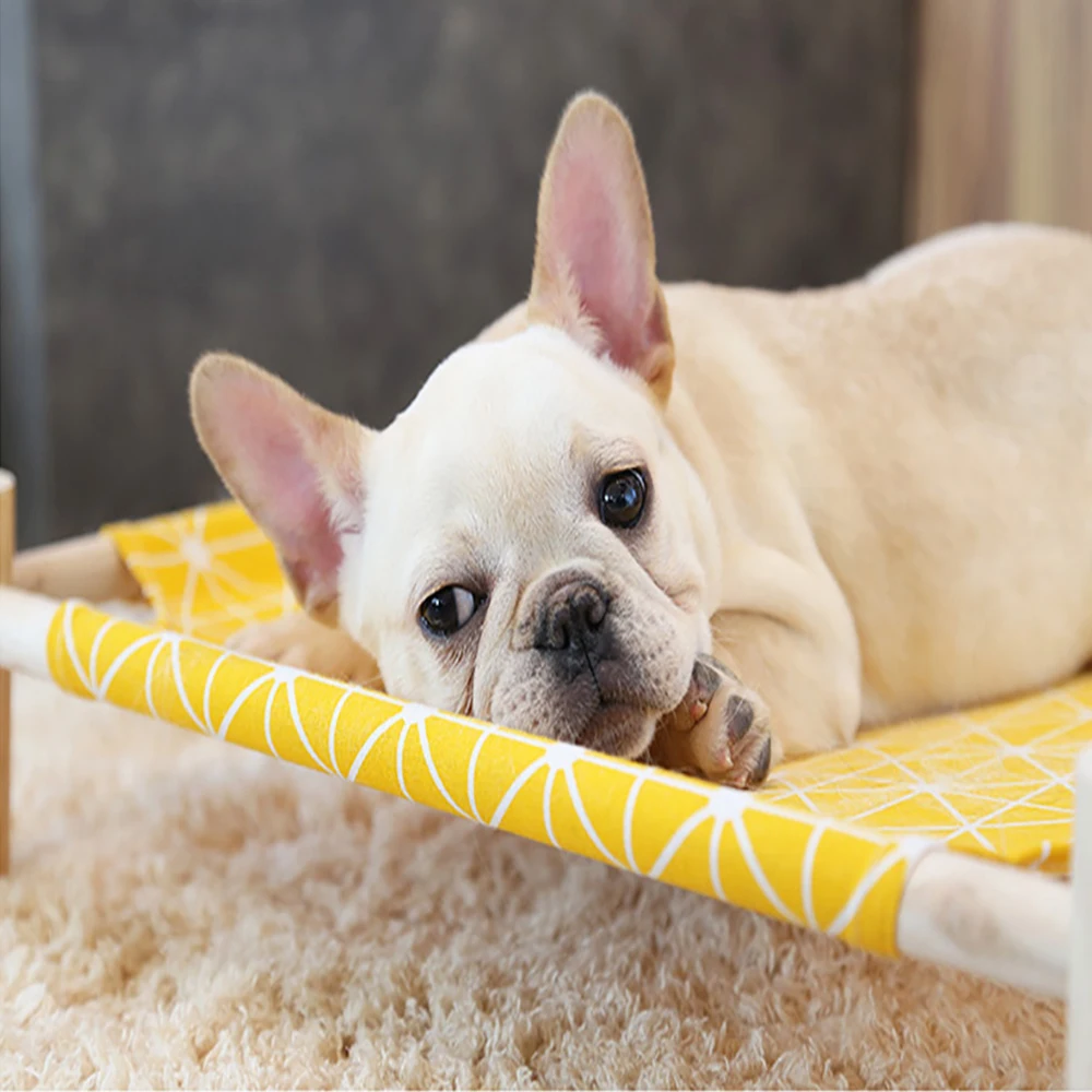 Duurzaam Canvas Kat Bed Huis Verhoogde Kat Hangmatten Kussen Hout Canvas Kat Lounge Bed Voor Kleine Honden Katten Huis Huisdier producten