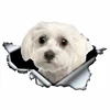 LYKX Lovely Maltese Pet Dog Car Sticker Decoration Waterproof Window Boot Decal Motorcycle Cover Scratch PVC Decals 6