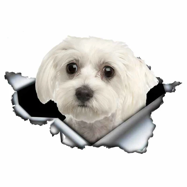 LYKX Lovely Maltese Pet Dog Car Sticker Decoration Waterproof Window Boot Decal Motorcycle Cover Scratch PVC Decals 6