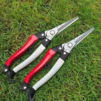 High-carbon Steel Pruner Fruit Tree Branch Cutting Tool Bonsai Plant Pruning Tool Straight Head Scissors  Garden Shear