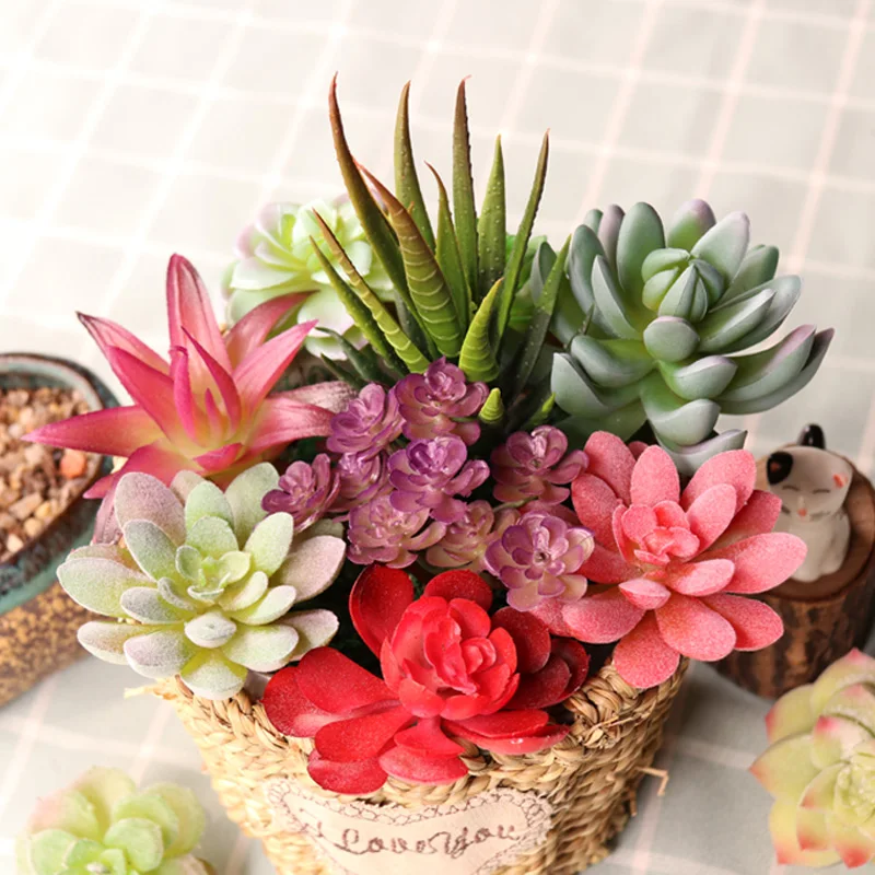 Vibrant Multicolor Flocking Succulent Plants