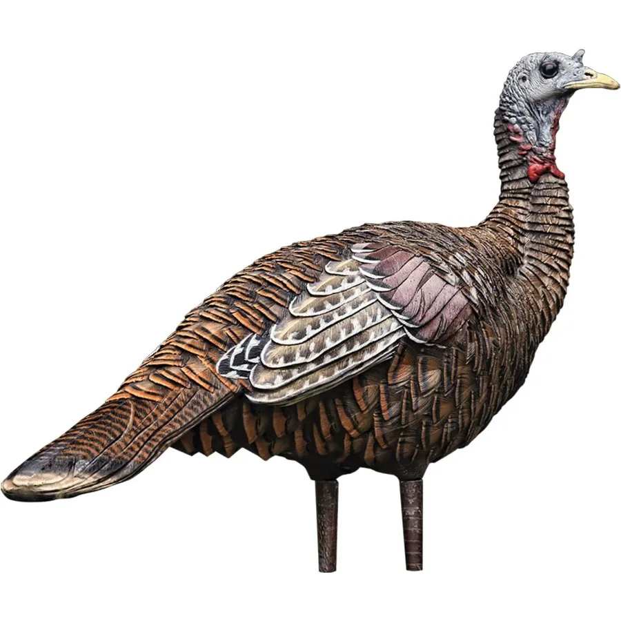 description