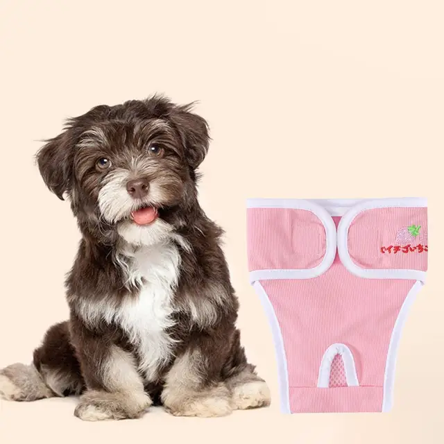 Preventing Male Dog Interference During Heat Dog Diapers: The Perfect Solution for Your Female Dog