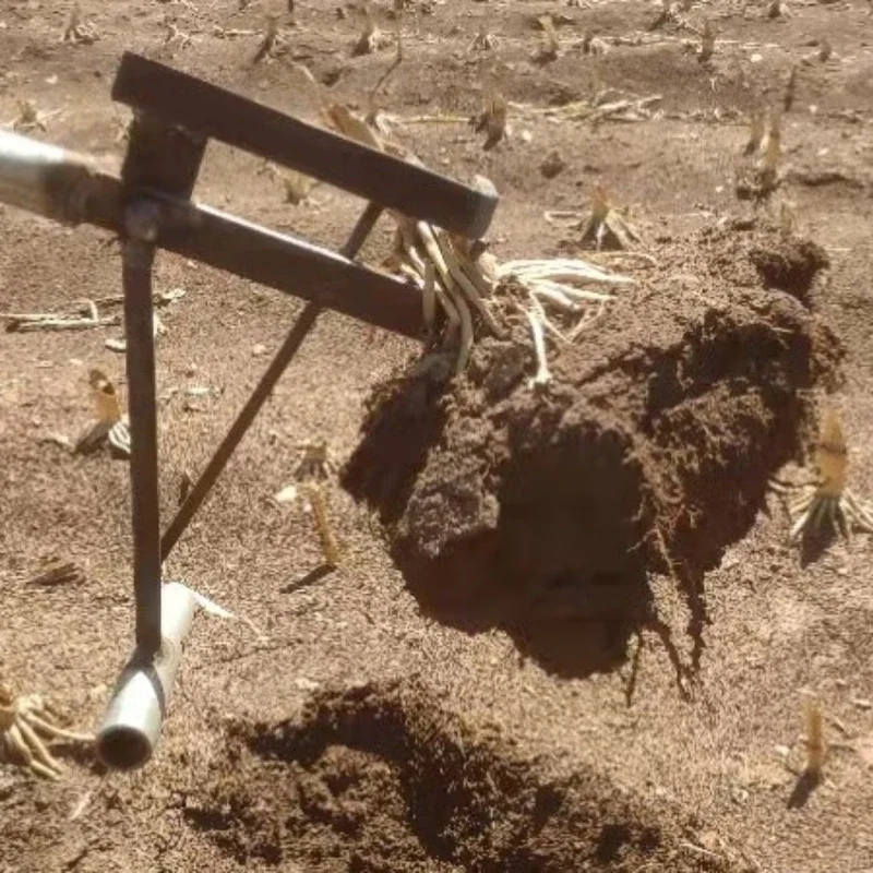 

Vegetable Root, Tomato Root, Pepper Root, More than Rice Seedling Labor-Saving Farm Tools, Greenhouse Artificial Machinery