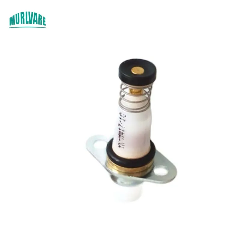 10pcs China Gas Control Valve Magnet Valve For Gas Stove