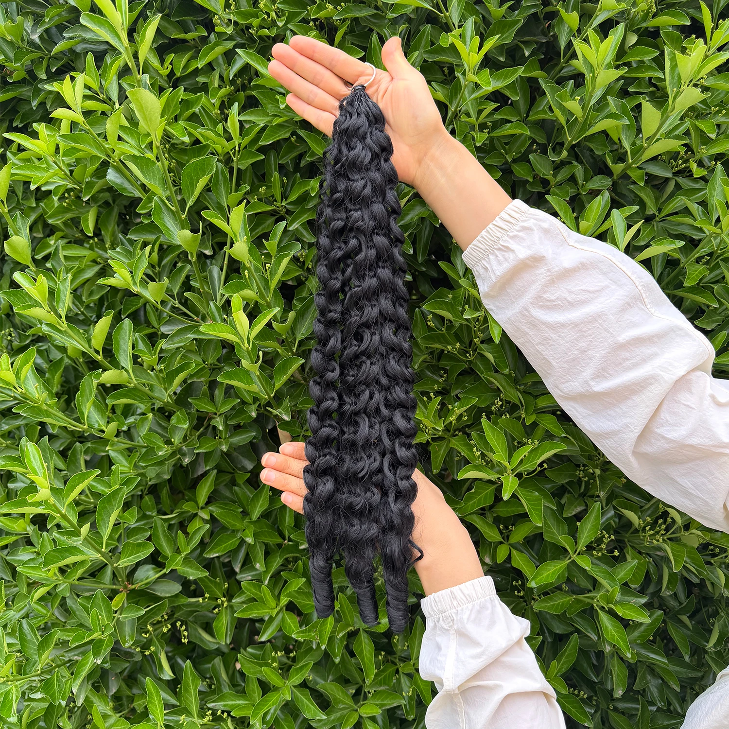 Burmese Curly