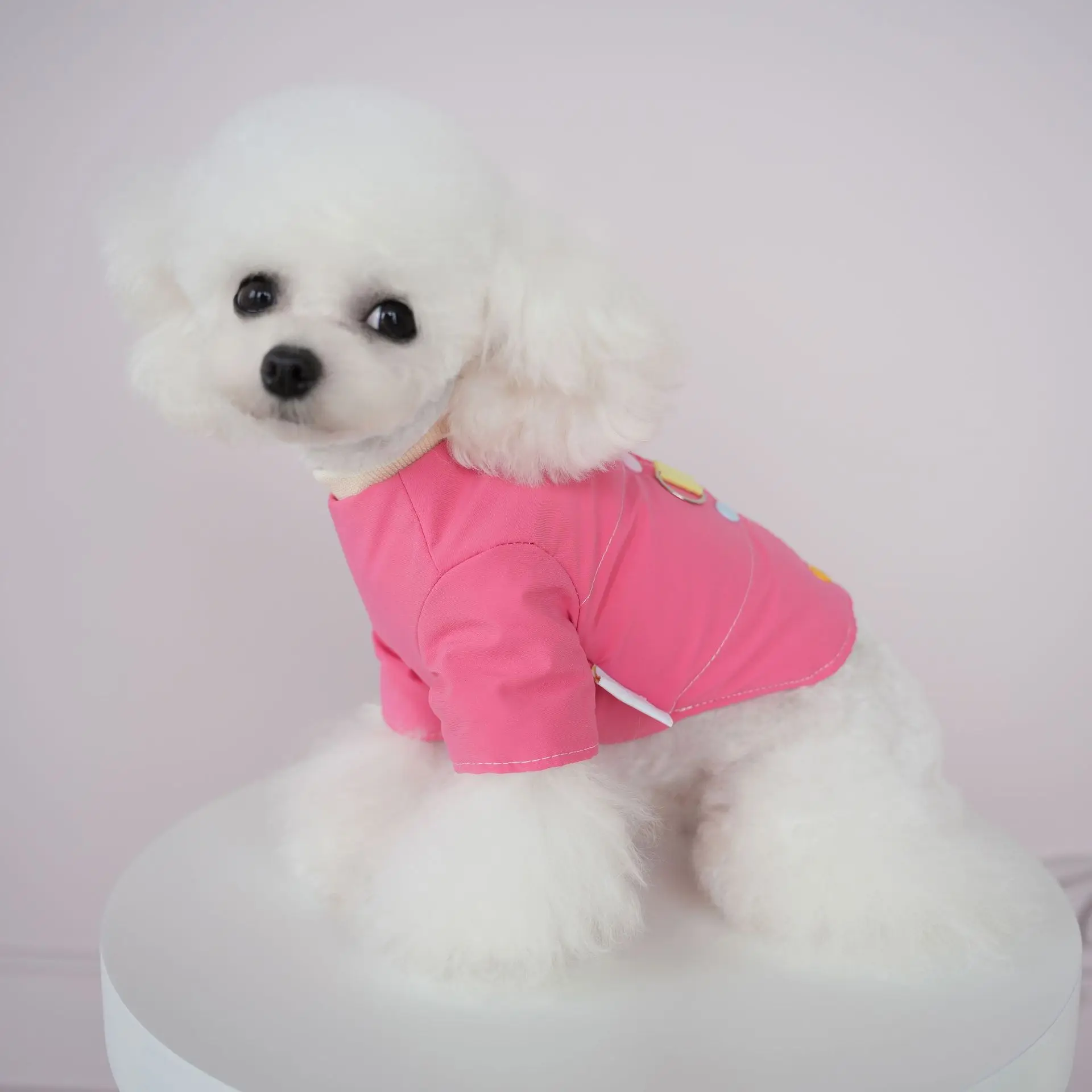Pet Coat Color Button Back Cotton Padded Jacket Windproof Casual Corgi Panda Suit Candy Color Dog Parkas Puppy Clothes