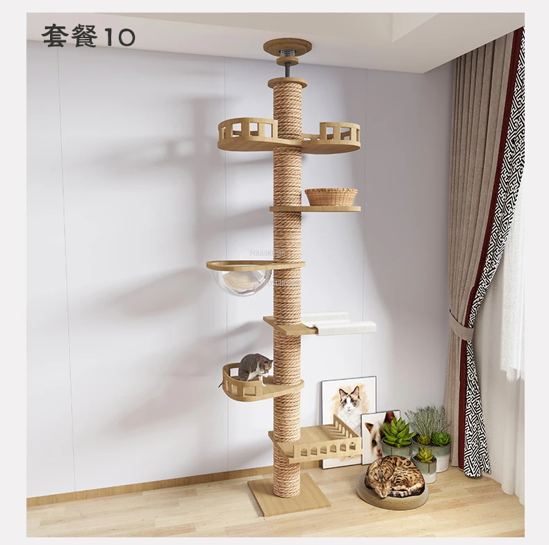 S169f1e694d85414387742128218125b2b