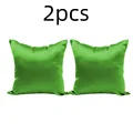 Light green 2pcs