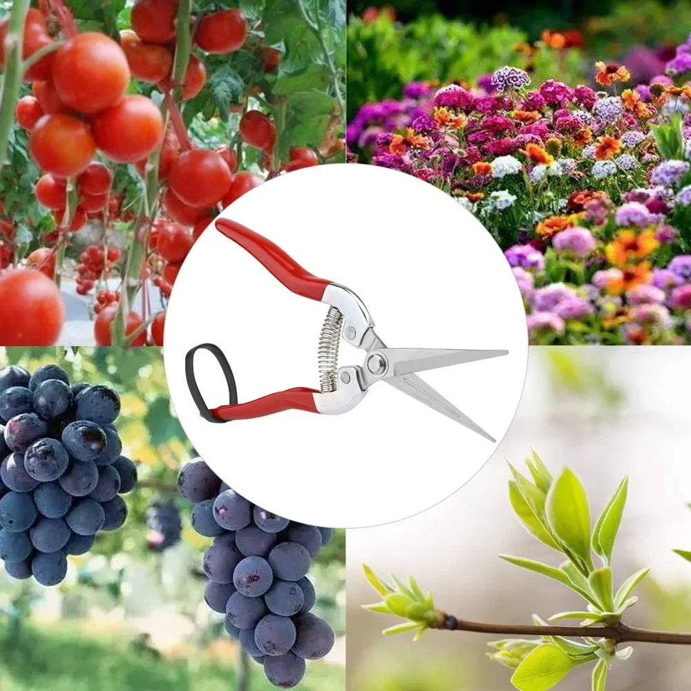 Gardening Hand Pruner Garden Scissors Pruning Shears Micro-Tip Pruning Snips Leaf Trimmer Straight Florist Scissor For Plants