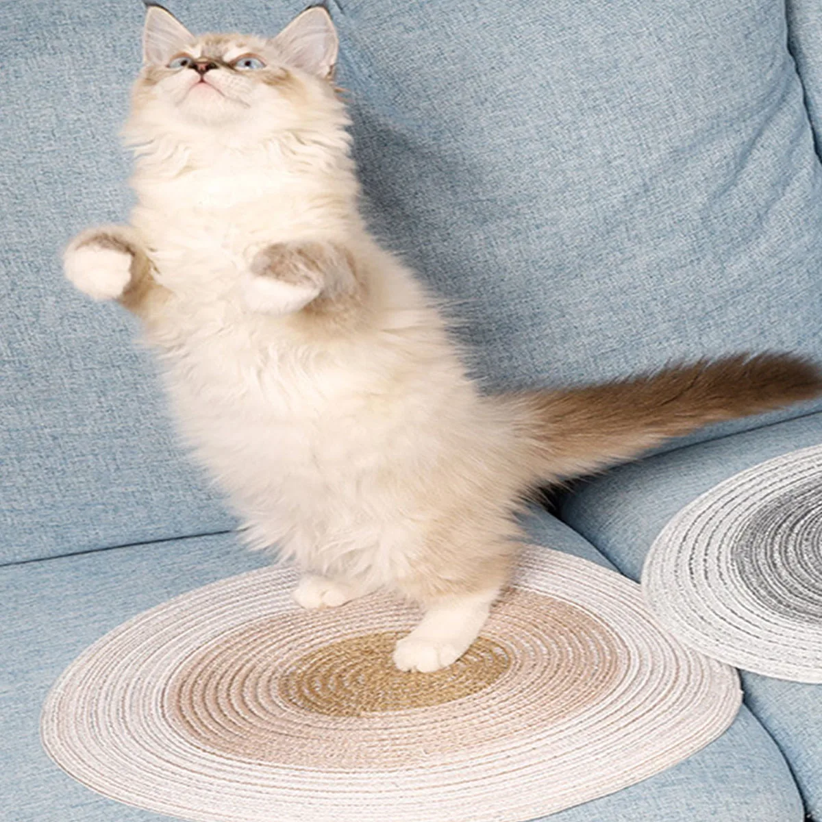 Indoor Cat Scratching Pad Board