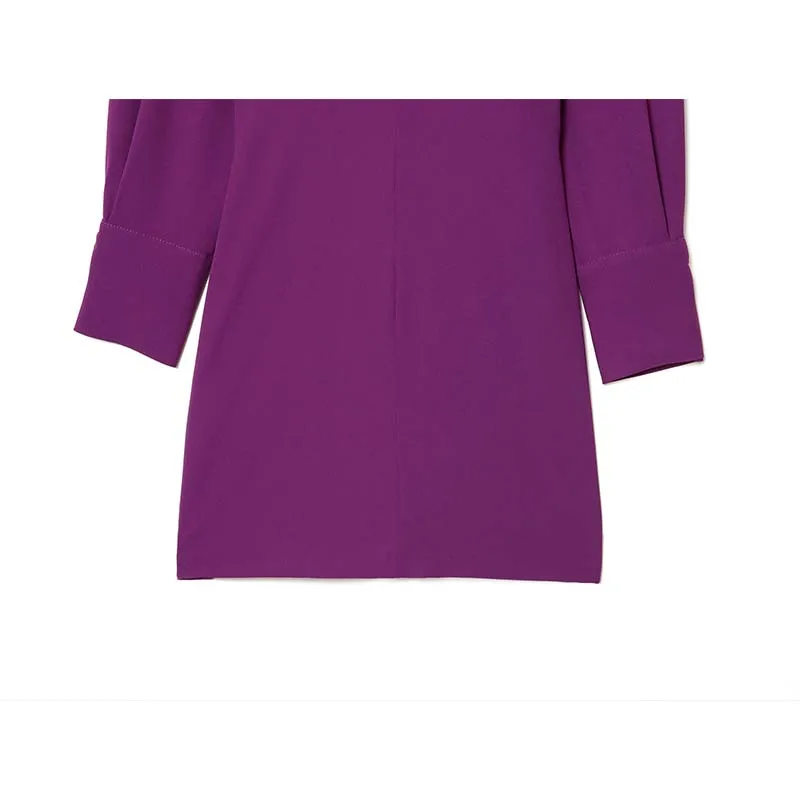 Women Fashion Scarf Tied Short Dress 2025 Autumn New Long Sleeve Mini Dresses For Women Stand Collar Holiday Casual Dresses