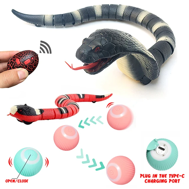 Inteligente Sensing Cobra Animal De Estimação Brinquedo Automático  Eletrônico Cobra Gato Teasering Jogar Usb Recarregável Gatinho Brinquedos  Para Gatos Cães Pet - Animais De Controle Remoto - AliExpress