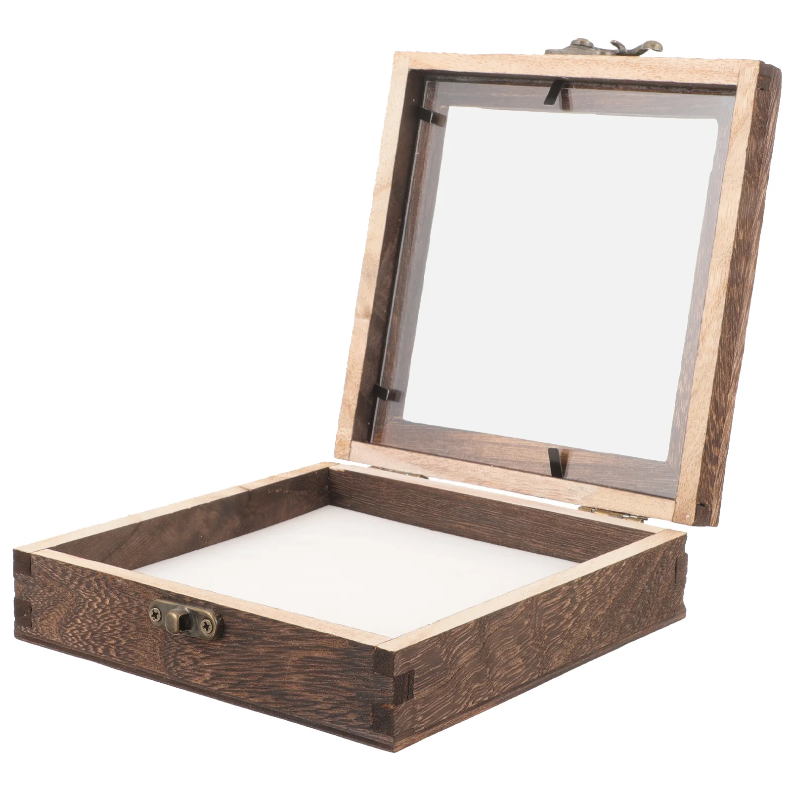 

Glass Insect Specimen Box Acrylic Boxes for Display Stand Wooden Case Frame Pin Butterflies Holder Foam Vintage Showcase