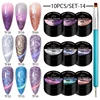 10pcs Gel Nail Polish Set 3D Semi Permanent Thermal Shell Magnet Nail Set With Magnet Stick Soak Off Uv Gel Flower Hybrid Vernis 1