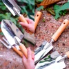 Bonsai Soil Digging Shovels 3-tooth Small Harrows Garden Flower Spades Mini Home Gardening Tool Set Seedling Transplant Fittings 4