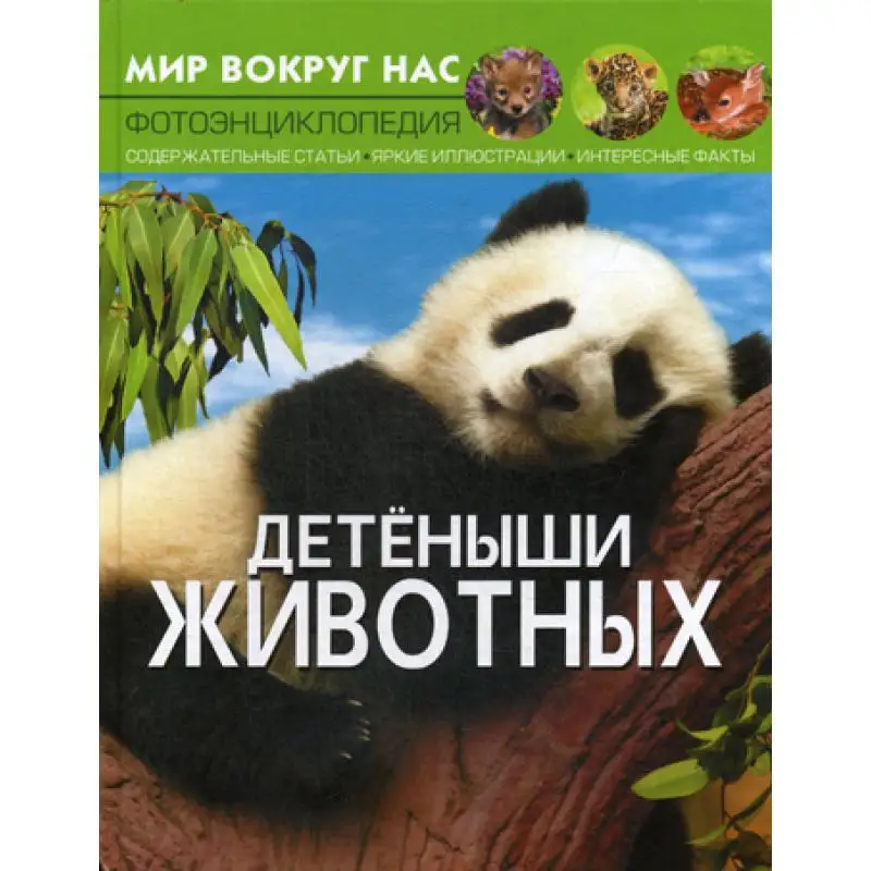 Книга Мир вокруг нас. Детеныши животных. Фотоэнциклопедия Сост. Турбанист Д.С. |