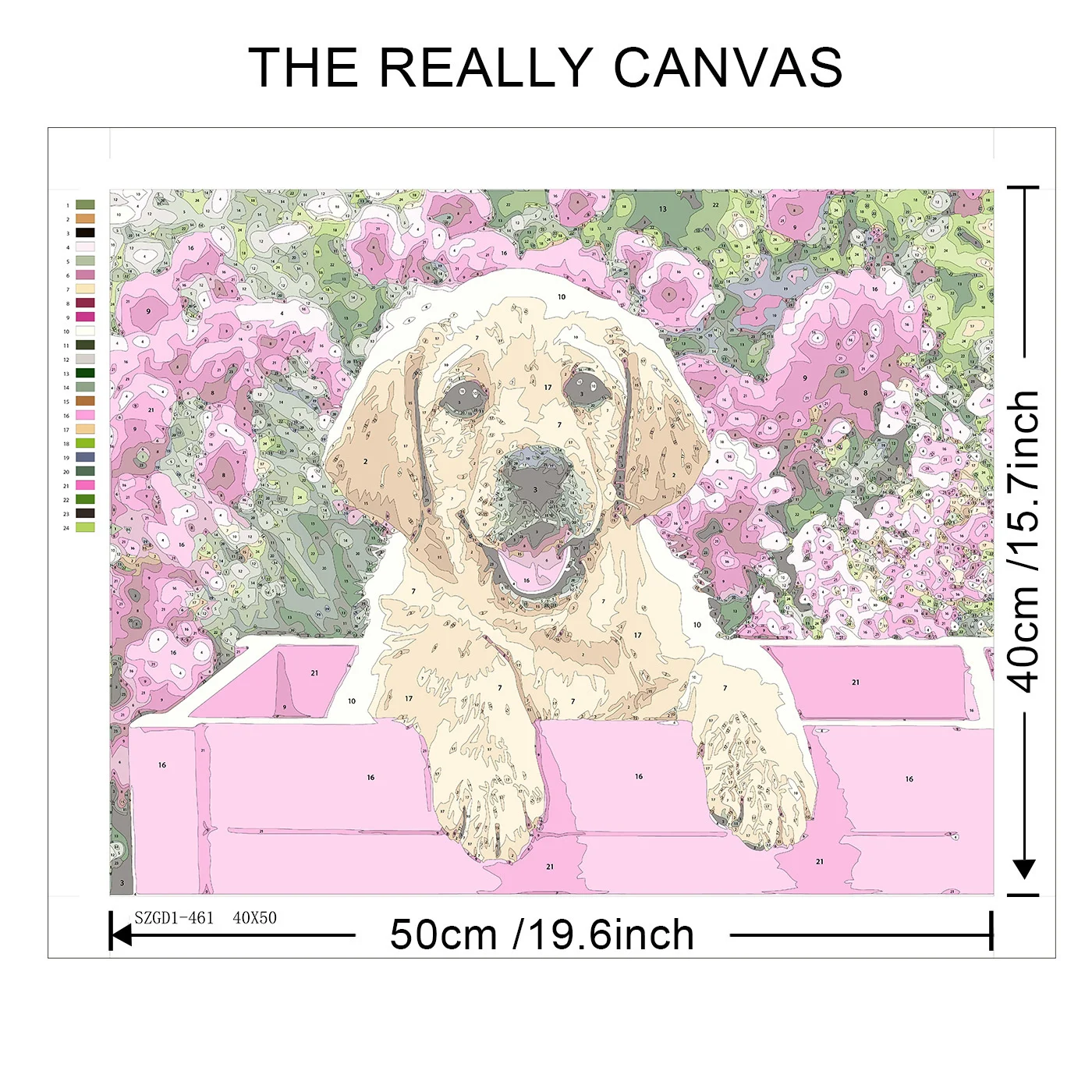 6596.jpg_.webp 6596.jpg_.webp