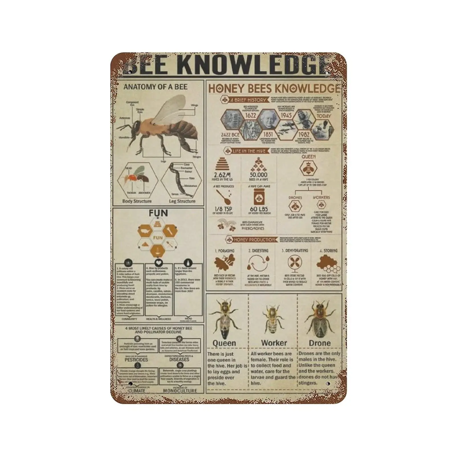 

Vintage Metal Tin Sign Plaque,Types Of Bee Knowledge Tin Sign -The Anatomy of A Honey Bee Wall，,Man cave Pub Club Cafe Home Deco