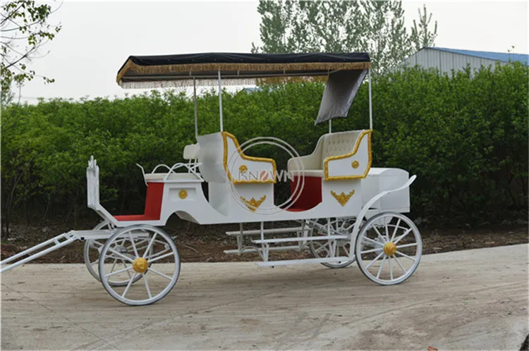 Рисунок 4 - OEM двойной ряд Золушка автомобиль