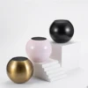 Modern Round Vase Metal Plant Flower Pot Home Living Room Office Table Ornament Decoration Small Art Pot Ball Flower Vase 3