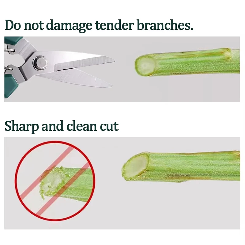 Stainless Pruning Shears 3