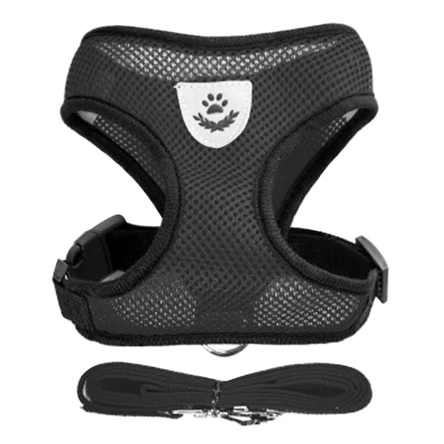 Adjustable Pet Harness and Leash Set 3