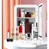 4L Mini Multifunctional Car Refrigerator Small Refrigerated Cosmetics Fridge Beverage Refrigerator Portable Car Home Camping냉동고 5