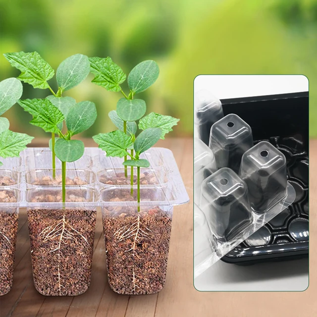 Cells Seed Starter Kit Növényi Magvak Grow Box Cseedling Tálcák Csírázási Doboz Kupolával És Alapja A Magok Növekedésének Indulásához - Image 3