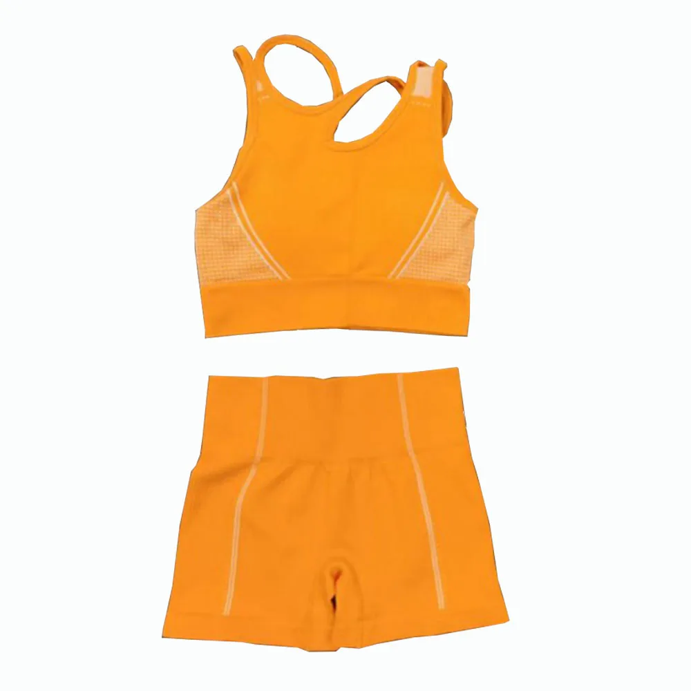 2 Pcs Seamless Yoga Set Women Sport Set Gym ClothingWorkout Sportswear Fitness Crop Top High Waist Leggings Sports Suits Women