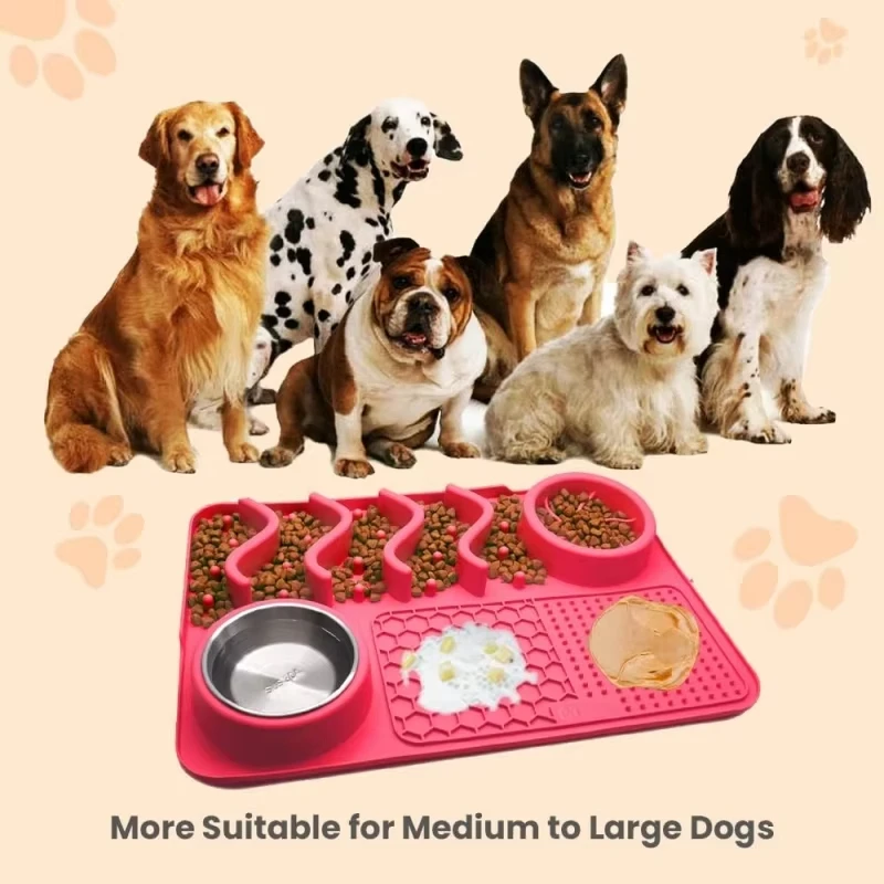 �ݷ������� ���ο� �޽� ��Ʈ - ������ �Ǹ��� (��Ű��) ���׷��̵�� �Ҿ� �� ������ ��ȭ ���� (�˷�̴� �ı� ����, 17x11x2��ġ)