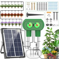 Solar irrigation system, split type dual pump drip irrigation kit, DIY garden courtyard outdoor solar simple watering device 1
