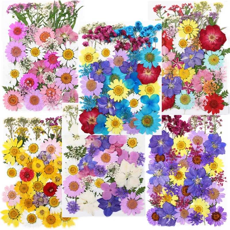 

40pcs/lot,Natural Pressed Mixed Flowers Leaves,real Dried Flower DIY phone case Nail Art face makeup,Resin Jewellery,photo Frame