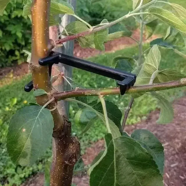 Fruit Tree Clips Plant Vines Support Twisting Shapers Branches Puller Twist Styling Curved 10-30Pcs plastic plant clips plant clips