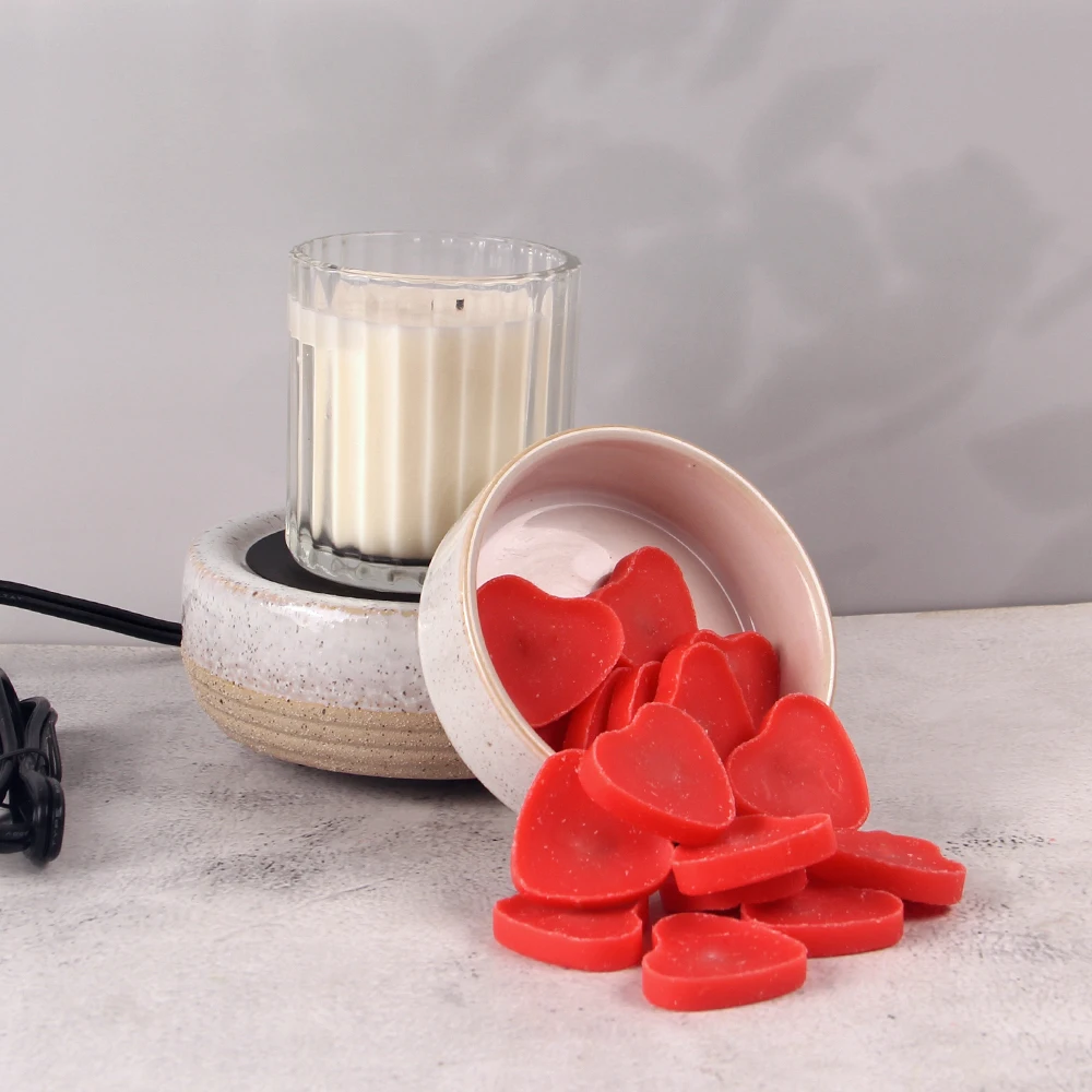 Wax Melt Warmer Scentsy Warmer 2-in-1 Candle Wax Melter and Fragrance for Cube or Melts to Spa Home Office