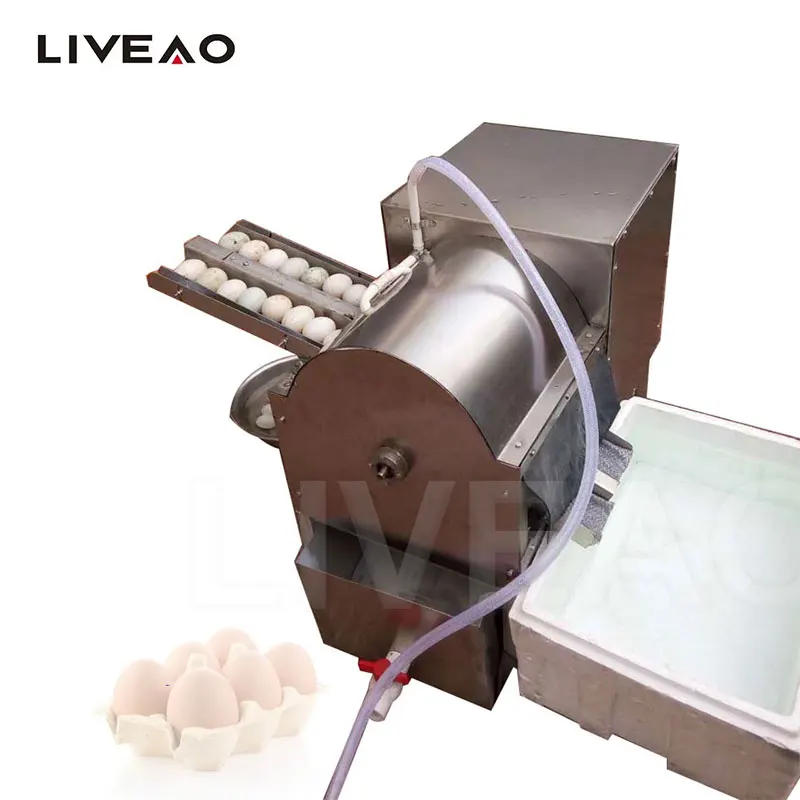 Hot Sale Mini Egg Washing Machine, Egg Processing Machine Supplier