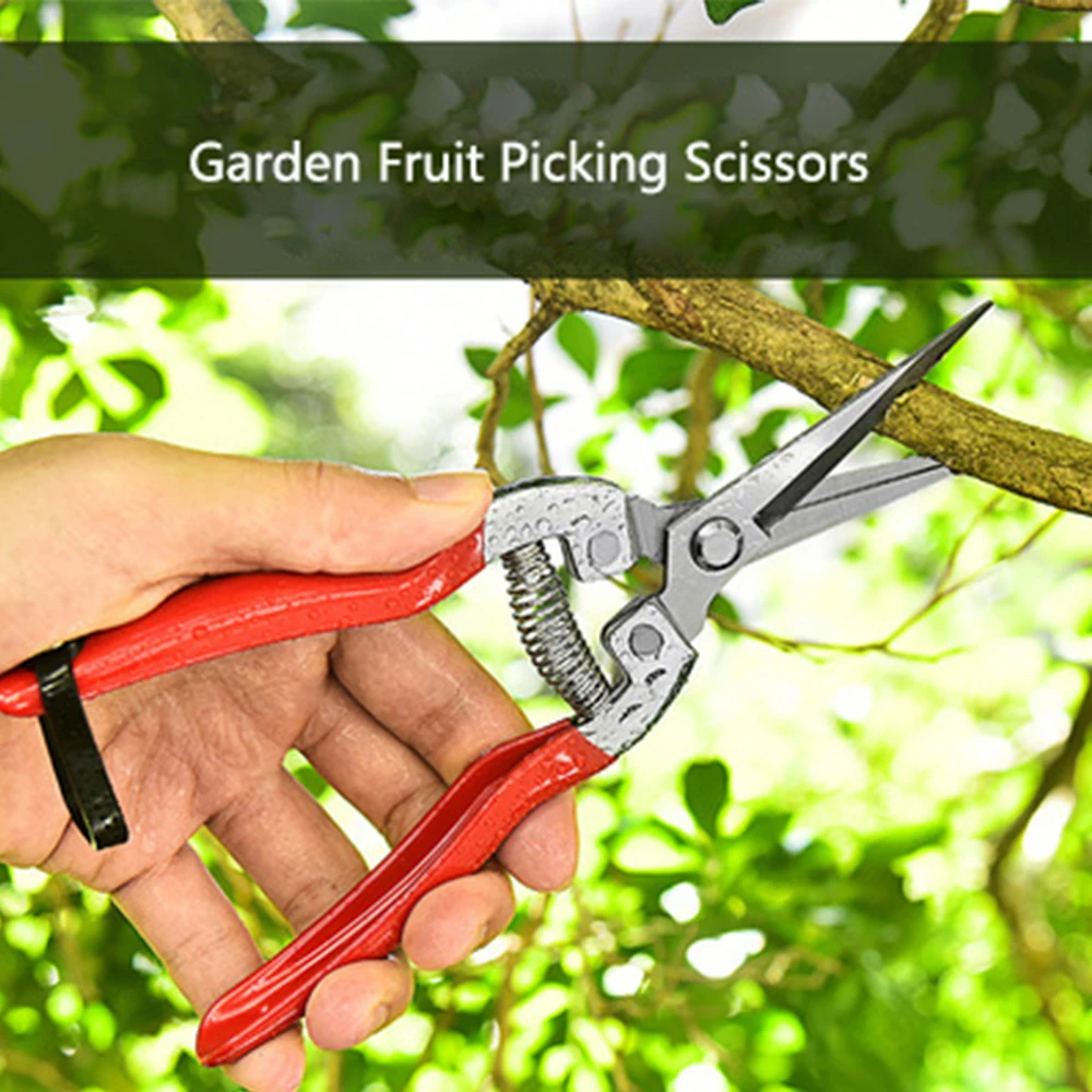 https://ae01.alicdn.com/kf/S16bc0029a16742c6b1aa4c6e23f6b55e4/Gardening-Hand-Pruner-Garden-Scissors-Pruning-Shears-Cutter-Pruning-Snips-Leaf-Trimmer-Straight-Florist-Scissor-Tool.jpg