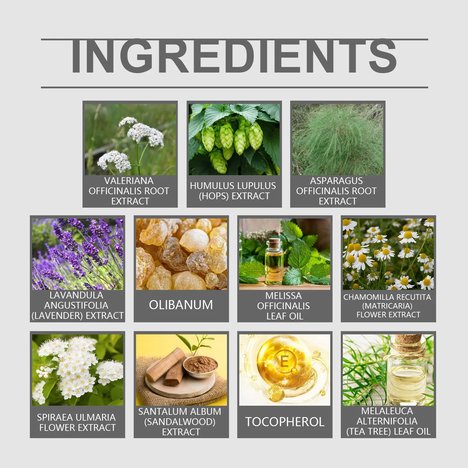 Organic Herbal Salve , New Organic Herbal Salve, Comfrey Salve Ointment, Comfrey Salve, Skin Soothing Balm