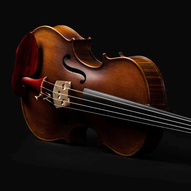 

Advanced Violin CHRISTINA S100D-2 Dark Retro Gradient Handmade One-piece Fine Flame Maple Premium European Spruce with Case Bow
