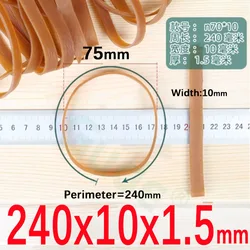 Heavy Duty Wide Elastic Rubber Bands - 5Pcs (240x10x1.5mm)